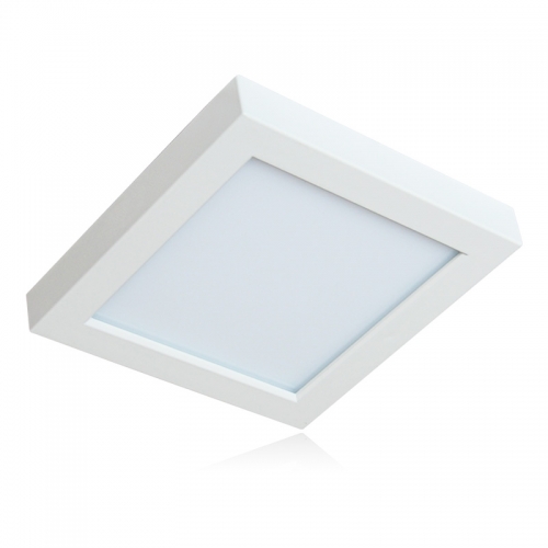 LED Ceiling Light