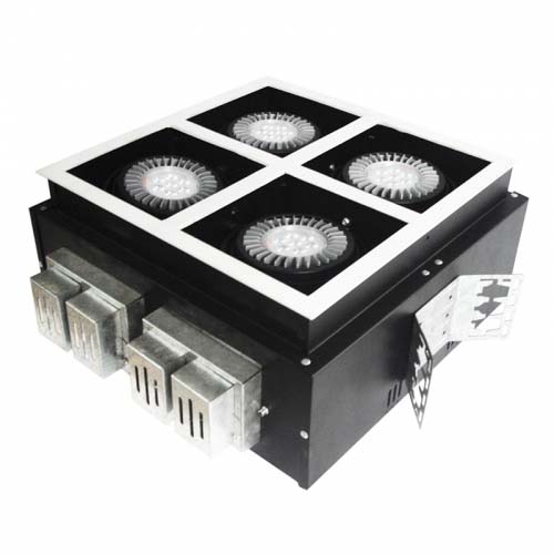 Square Downlight